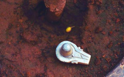 Yoni & Lingam massage: a path to deep healing